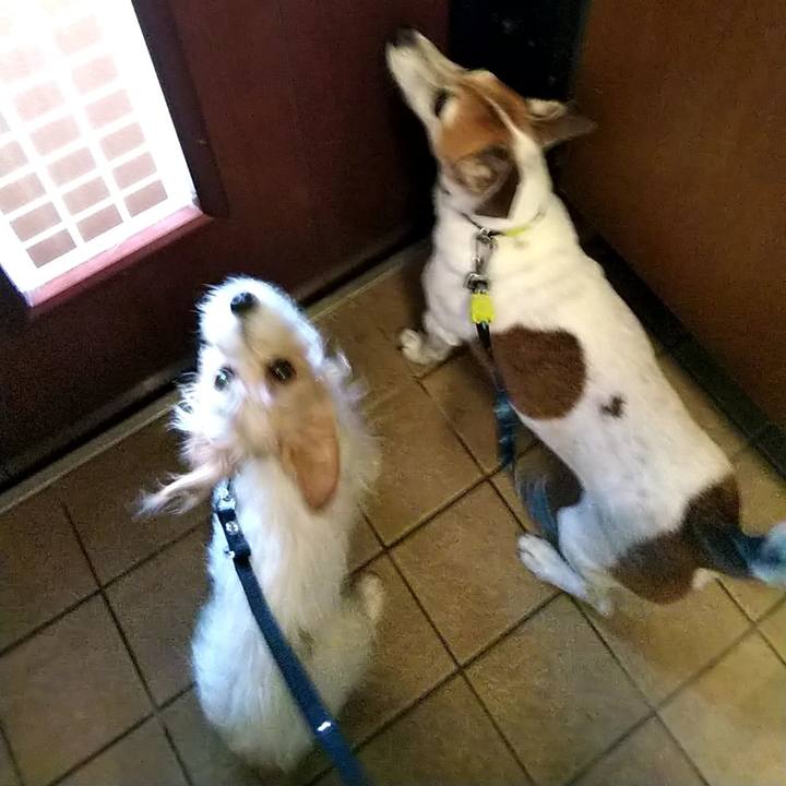 F6da27d6 295f 4c32 b2b1 2ea265bffaf2 1530948163737