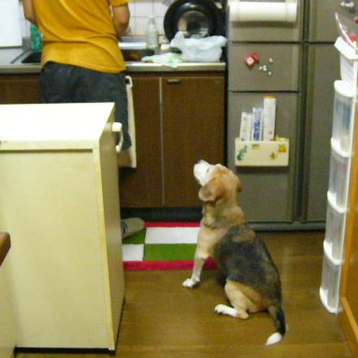 F6da3902 40dd 4653 bbcf 02e39e56423d 1653266666033