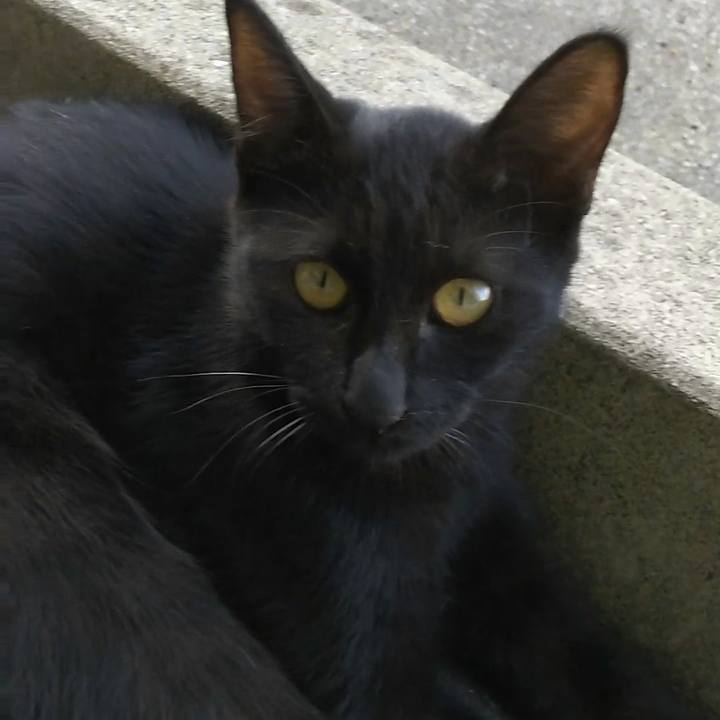 F6da6421 9651 45e3 924c f088508f9736 1535534466640