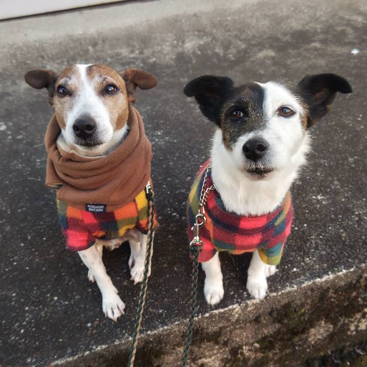 F6dab179 3f10 4227 8715 24324ef23fcc 1771453420578