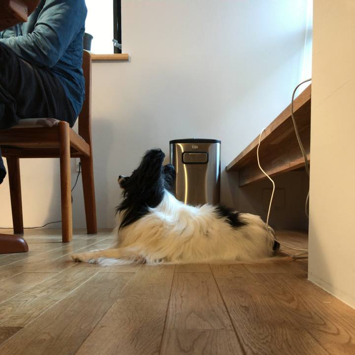 F6dacbb0 9fce 4671 9c03 f6745c7a2a63 1524001763656