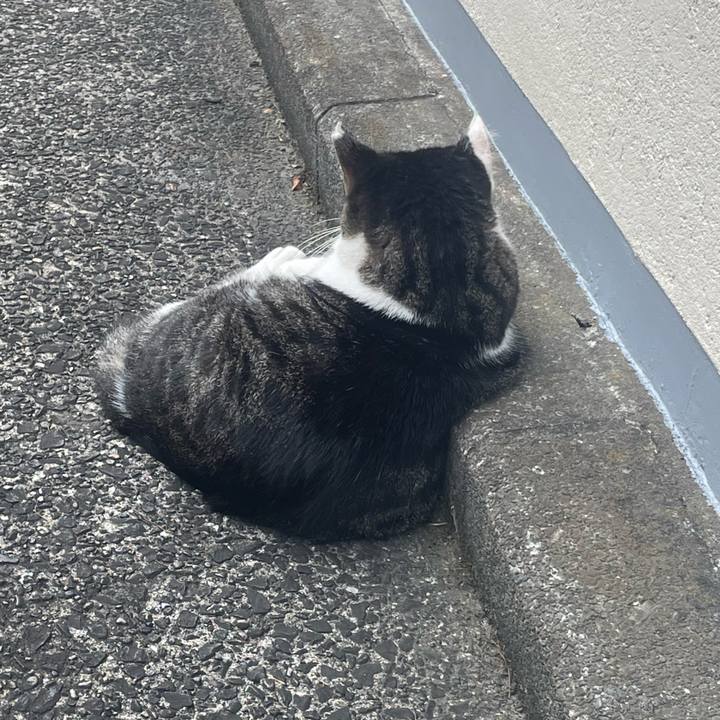 F6dace6d 9d23 4f76 9e0d 73a423ee86ed 1722331638563