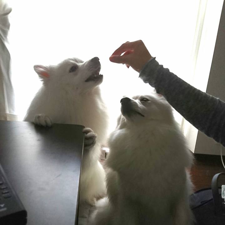 F6dad8c9 8a1d 4fb4 8b45 71484be444da 1625393349394