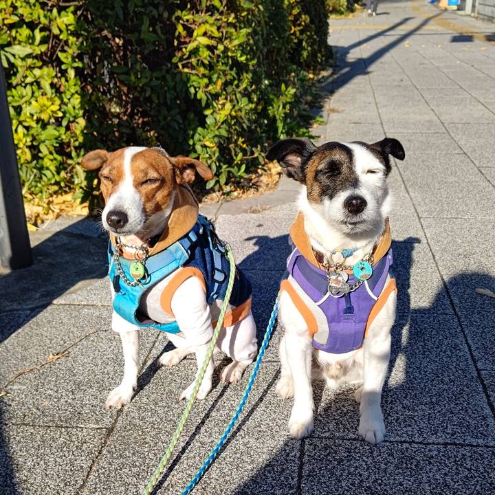 F6daf9e5 7bcc 4d49 8b4f b308b02fd845 1672621622168