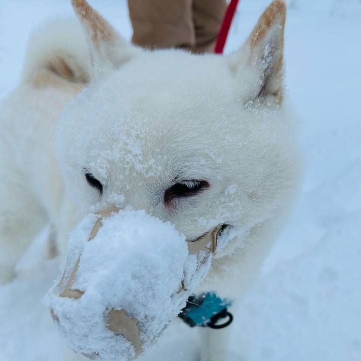 F6db13b7 3c01 49b0 9958 16beea8efc4f 1731969551581