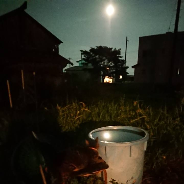 F6db1aa1 180e 4265 9d7d c375f5008b9f 1660217827441