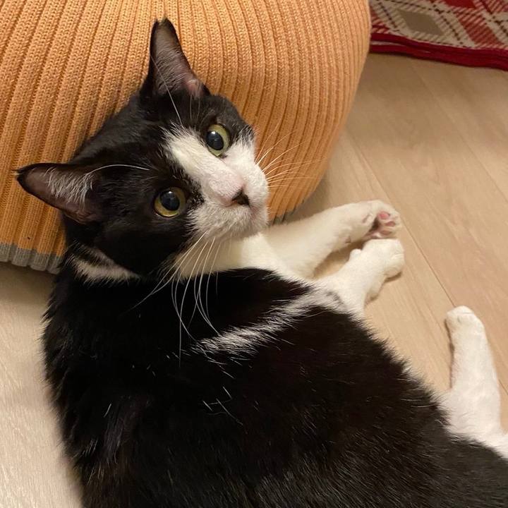 F6db30cb 7dc4 49e2 bd3d 7d621b8044b9 1717498923746