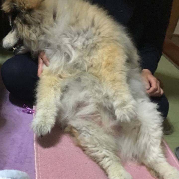 F6dbaa9b 4876 4145 b08b 9ef9a7e48573 1573925962253