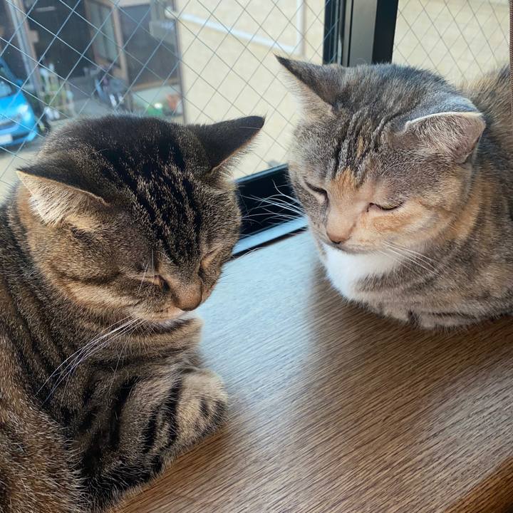 F6dbc112 0550 4491 92b0 905d8b7ed9c4 1585812421477