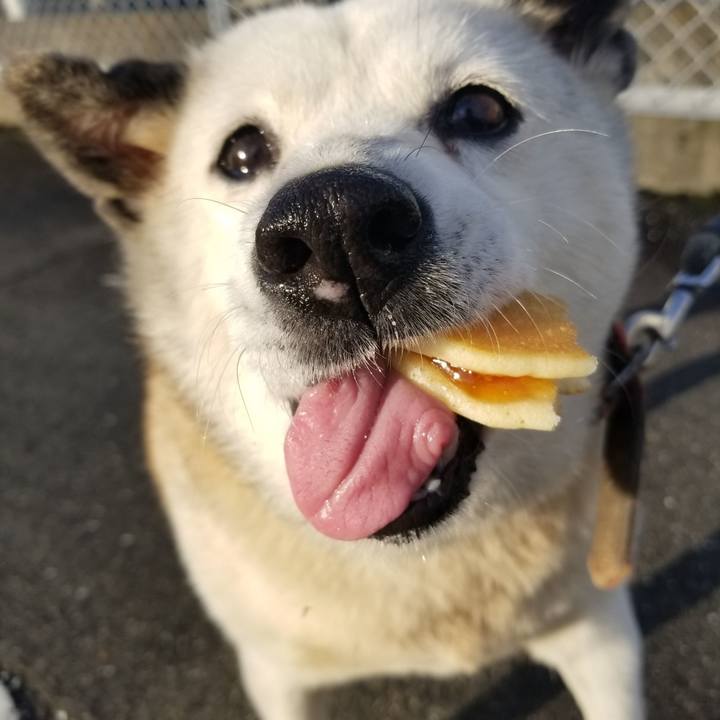 F6dbc26c 5558 4ad3 8121 d4d4f0db7450 1729809446557