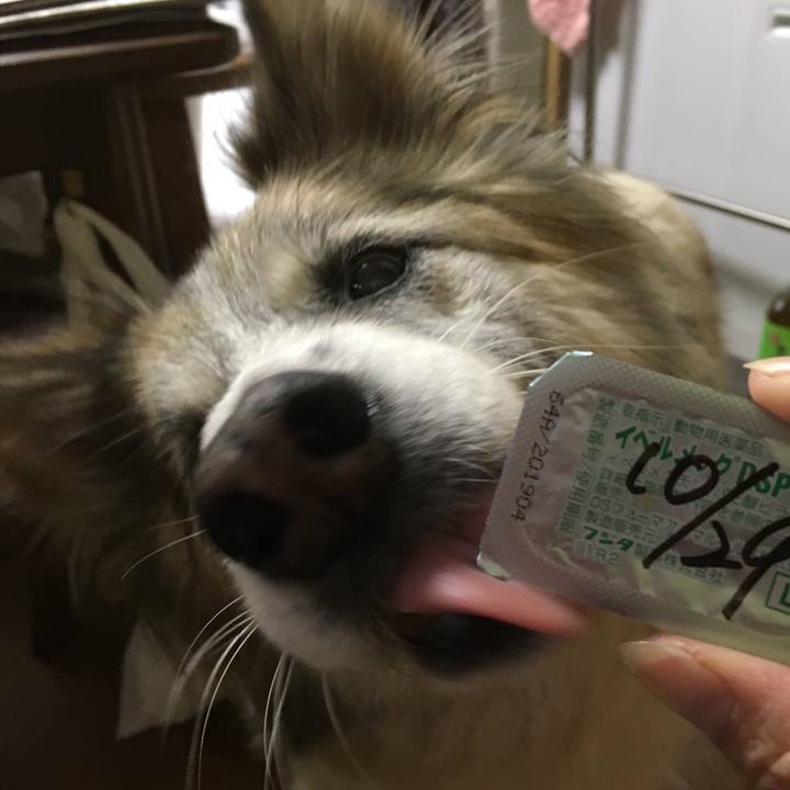 F6dc2a7c 4c5b 47bd a238 f9ef69fbf68e 1509522143078