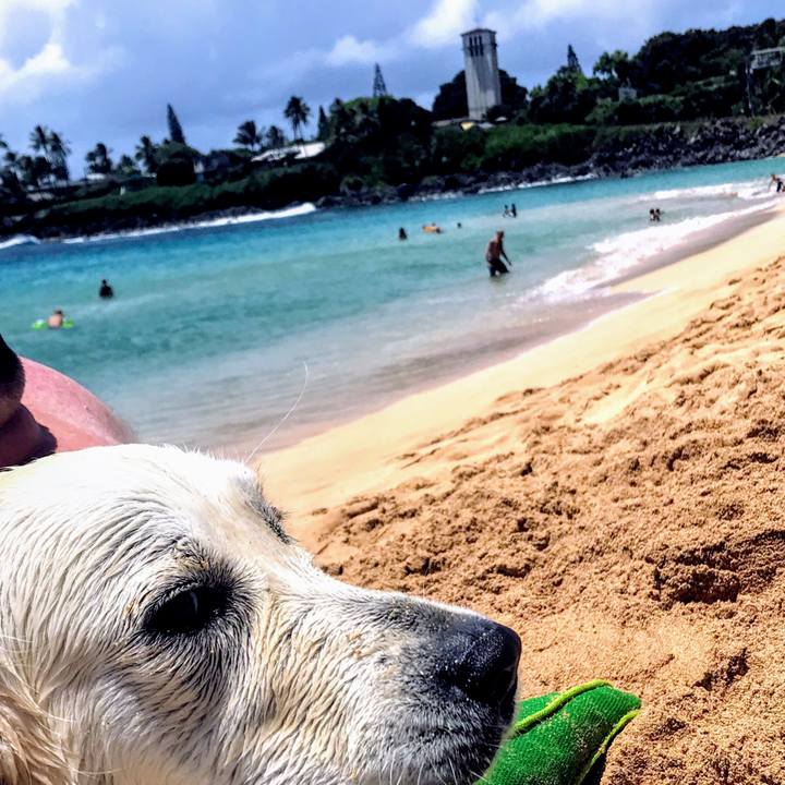 F6dc57a6 96ef 4045 b064 1343810b2786 1526865223268