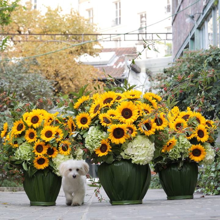 F6dc6796 e41b 48d8 8a8d 4658c5f30000 1759197372777