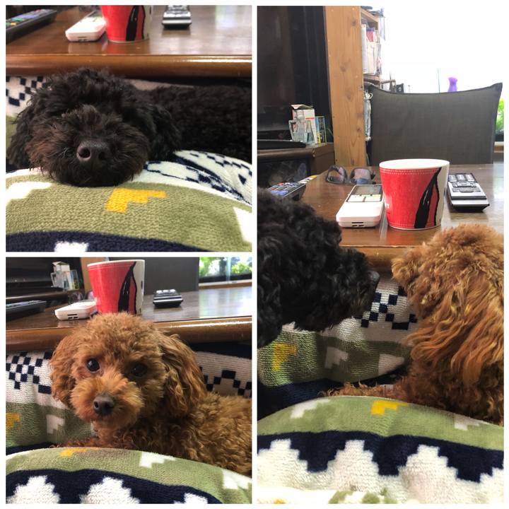 F6dc90b0 f598 44ec 96db b9d0d43c2c67 1519532785759