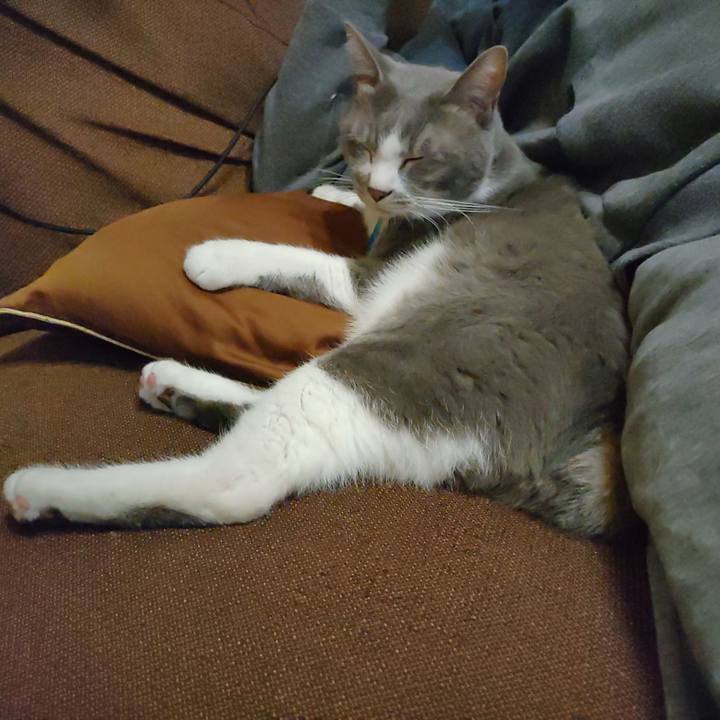 F6dc9862 d765 4843 bcfd 78aa182fd9a3 1699791454326