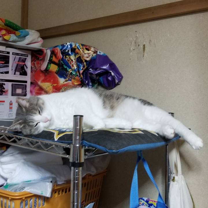 F6dd1259 6191 472f b3d0 97e49694c28e 1594469056104