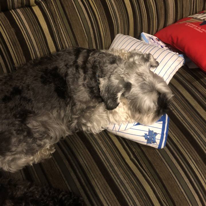 F6dd1b4e 4e76 47ec 97a8 8a9fc6d86983 1561992789902