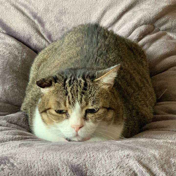 F6dd57b6 87d7 44b7 b81c 864175860493 1736678573560