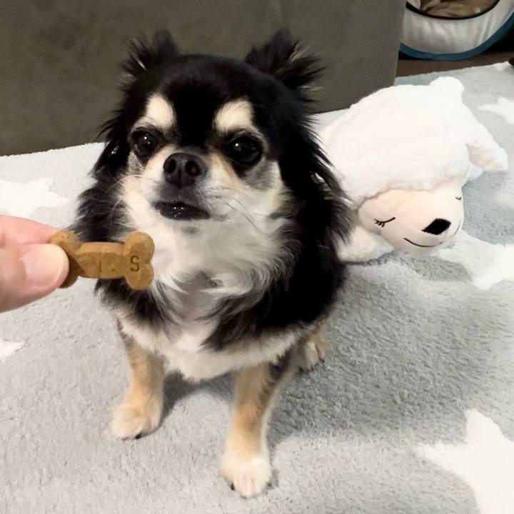 F6dd607d dc6c 495f b12e eef6086f9910 1722467923348