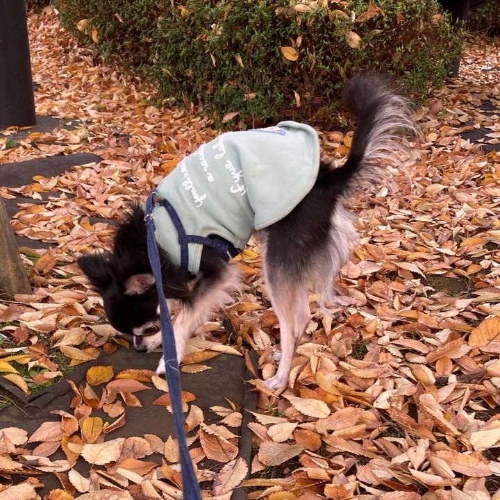 F6dd62a7 a418 43a6 8c5e bdb6f4e694fe 1668263671860