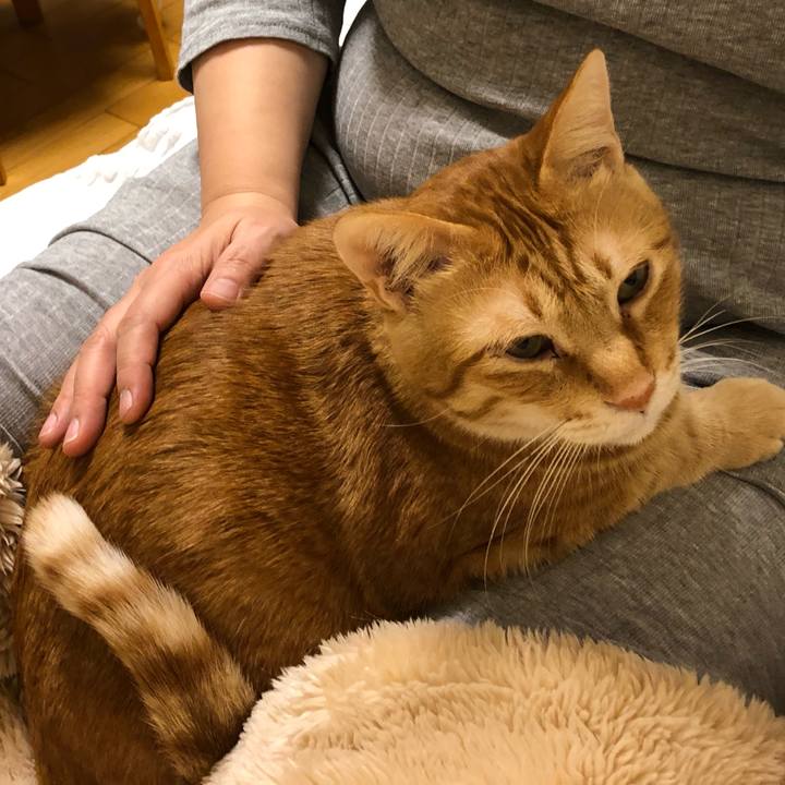 F6dd89f2 cecd 4073 af43 983061b7cc52 1574415934498