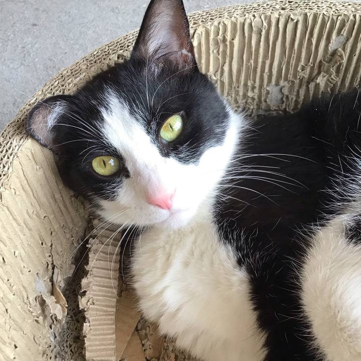 F6dde672 3cbe 4fcf 8351 693137aff98d 1749972416230