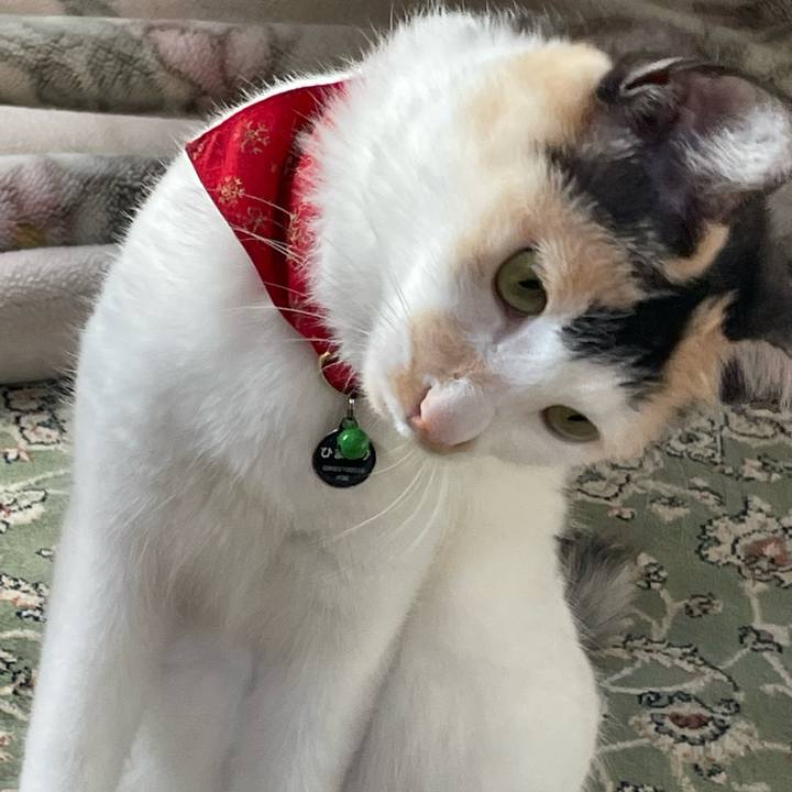 F6de617b e4df 43c8 8af0 2ca5be3acc06 1705280053816