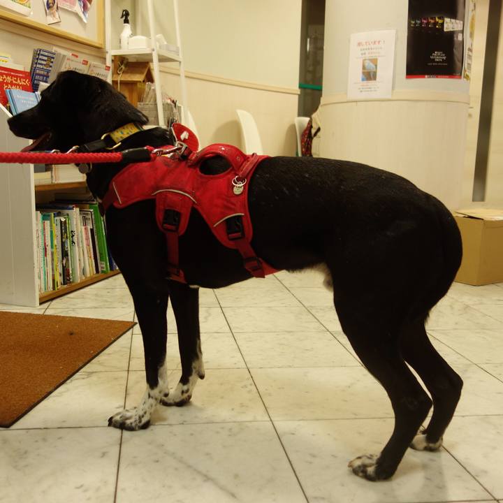 F6de68b2 917c 4732 bf7d f8efbb3db03b 1600080758343