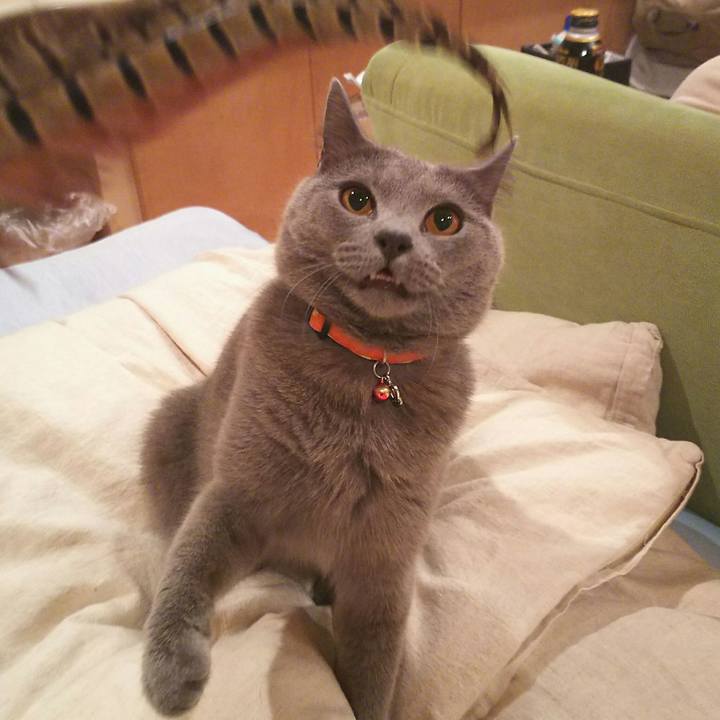 F6de6e2e eab4 4d01 9cc3 1d50cbacd4cf 1530182782931