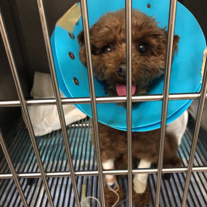 F6de9297 f53d 4601 a8e1 16c2abfa31c9 1553157024121