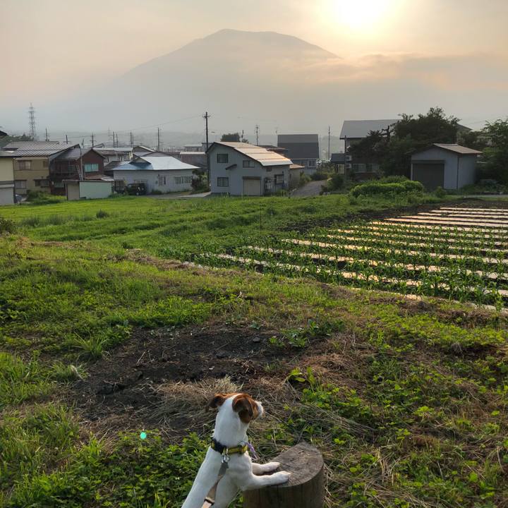 F6dea087 5e36 4215 85c6 f9414e35ceb2 1529924666122