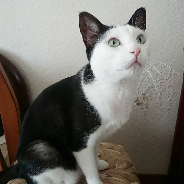 F6dee7b0 9791 4c8c a54f a0ee12054a26 1539354009021