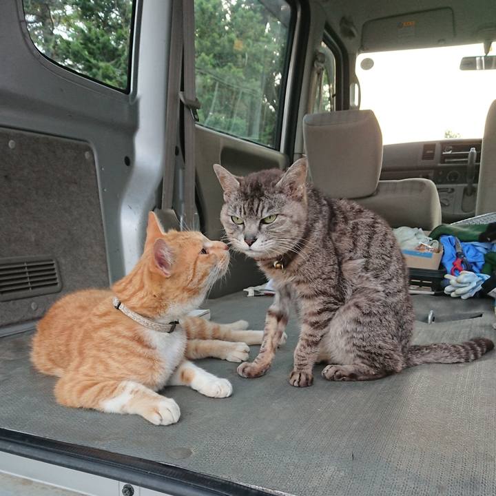 F6df267d 7b50 4f8d a2fb a8851c083caf 1592213982383