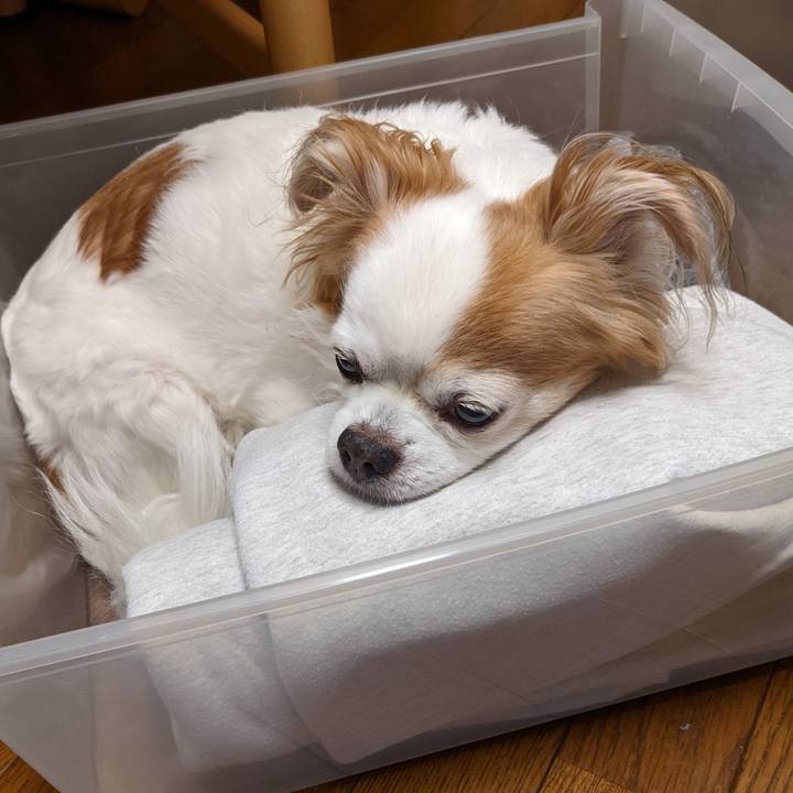 F6df4d3c 2f94 4b26 86bb 2c4ff18cdcee 1649479490428