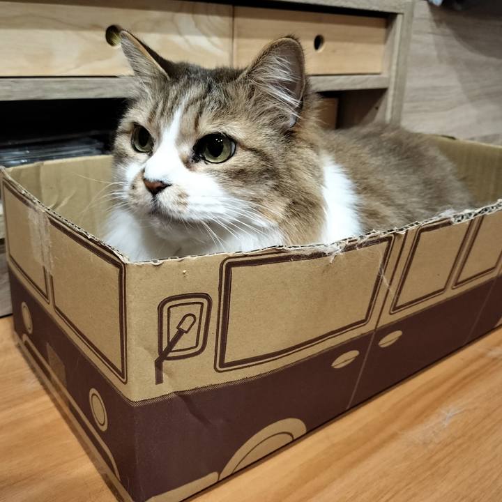 F6df5049 8d25 4959 b56a 8066cc29b041 1771129907683