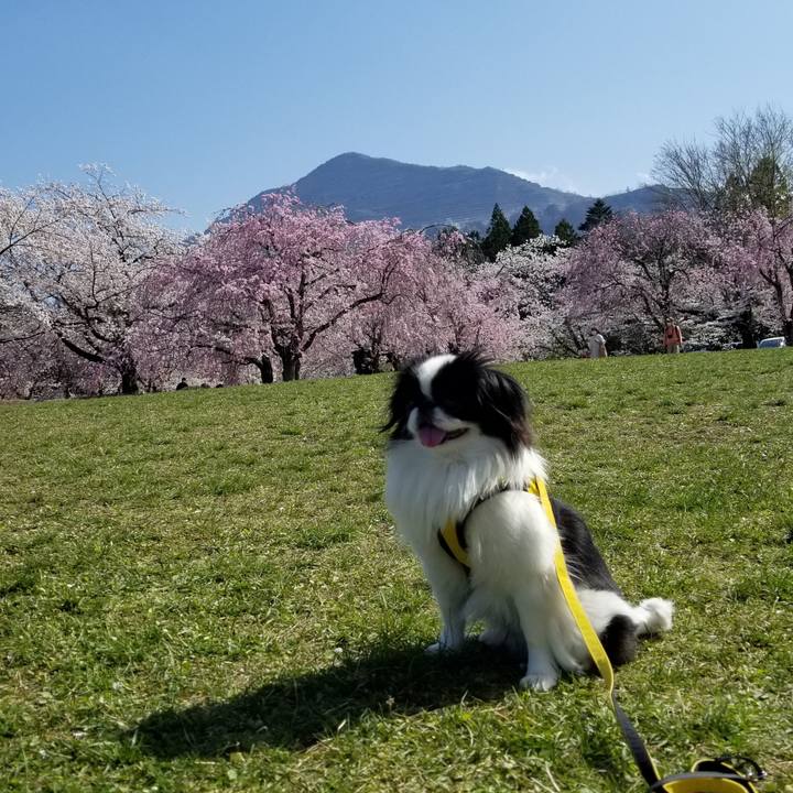 F6df5bc1 df48 4c15 a959 22407a6dfb4c 1649415631924