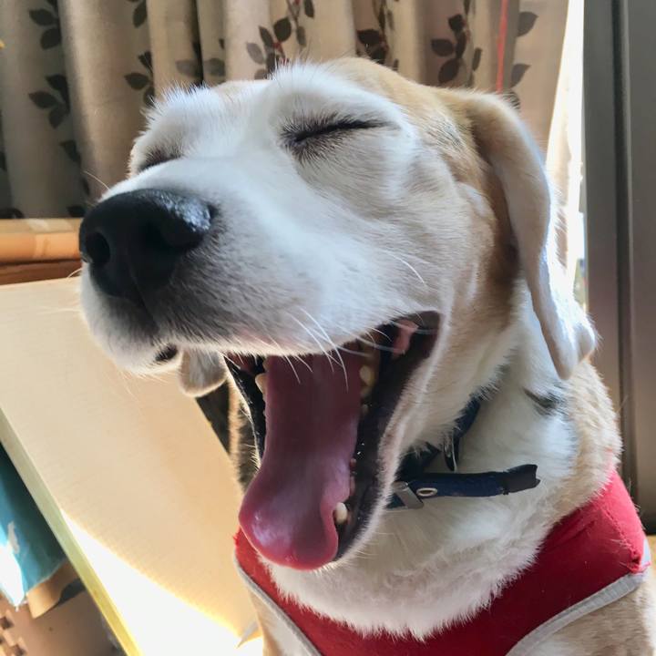 F6df88ad a0c9 457a 803e b7619b7db8e6 1554619306776