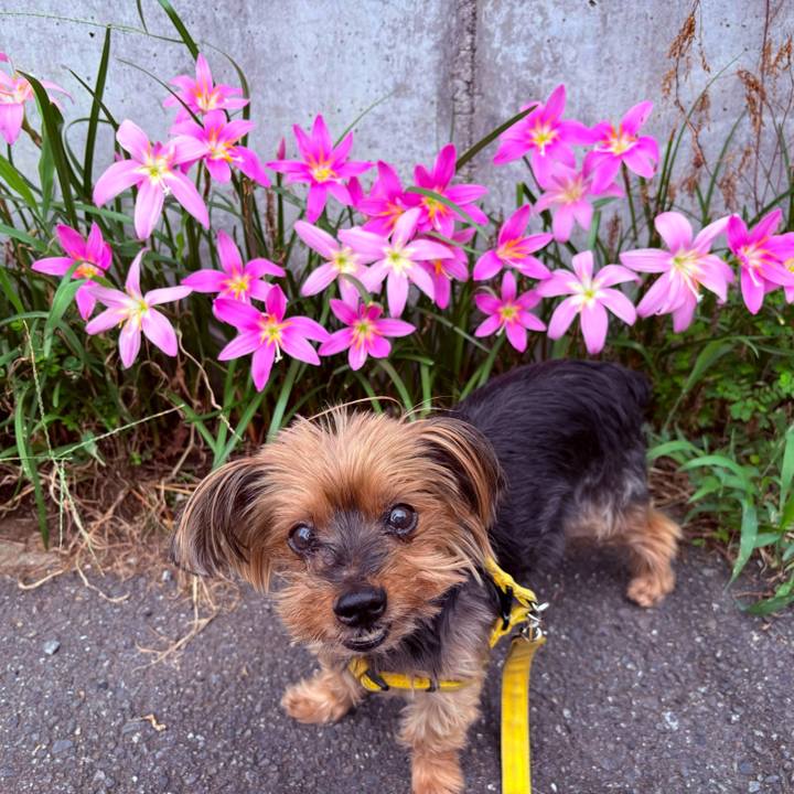 F6dfd020 8b92 4f4e a175 f5d6621b15d7 1755557408542