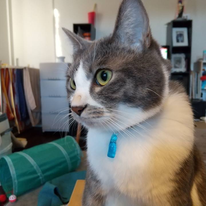 F6dfd5e0 a997 4119 bb21 ff716de5b0df 1609459359381