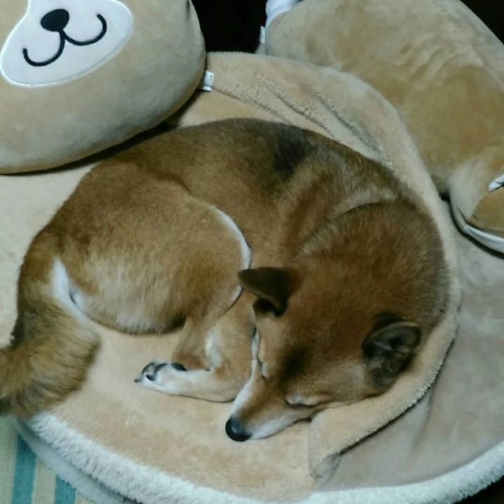 F6dff5f5 80b3 4928 8db5 f98a56dfc936 1539611844805