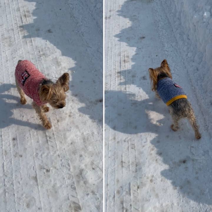 F6e00f6d 2d41 453c a14f d8986ce21e30 1613212348647