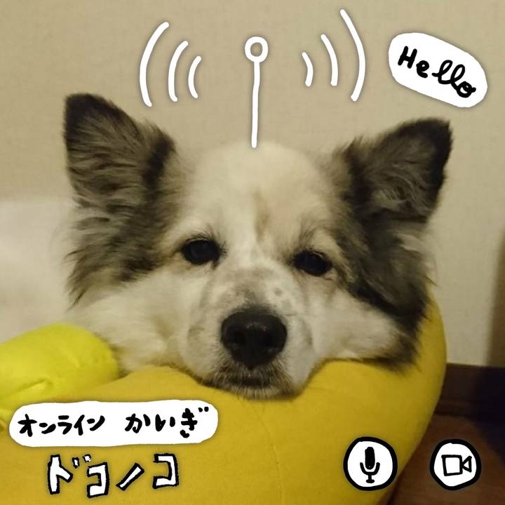 F6e01210 6567 4c44 a189 1ec197dd4f18 1590674156409