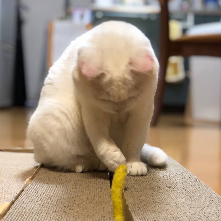 F6e02dc7 2c49 430f 997d 82d0630a7675 1530279791759