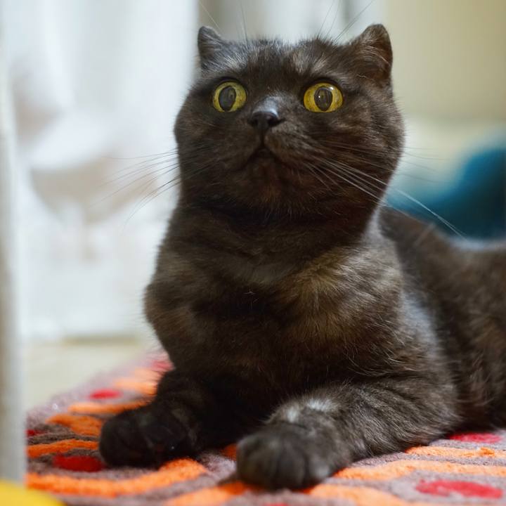 F6e07006 f482 4e4d ab92 31d7ae26517d 1595343542137