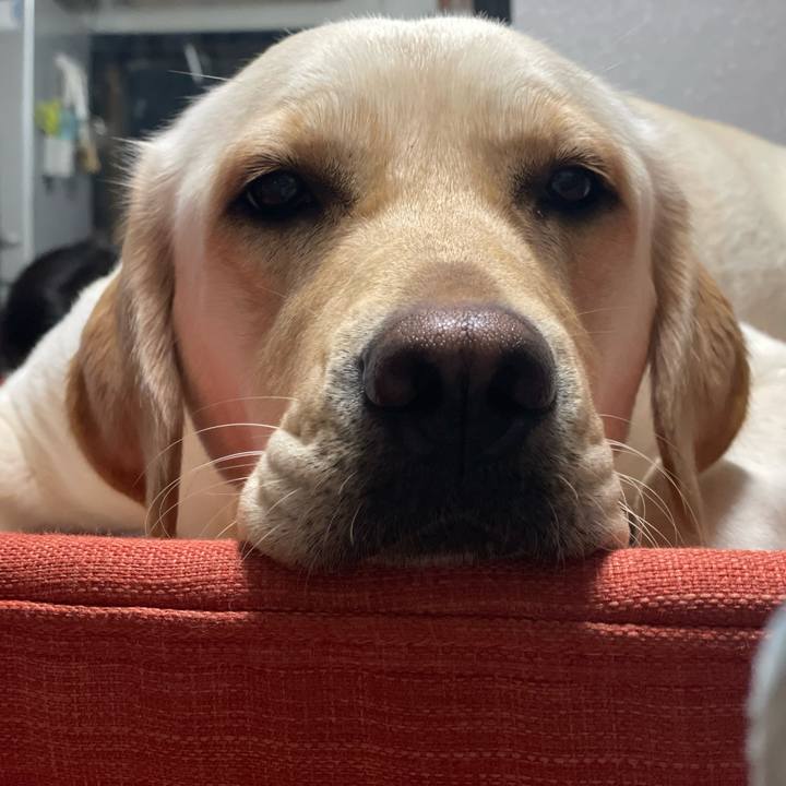 F6e0acb7 1a90 4a07 9a45 77cdb48d3b42 1671851501998