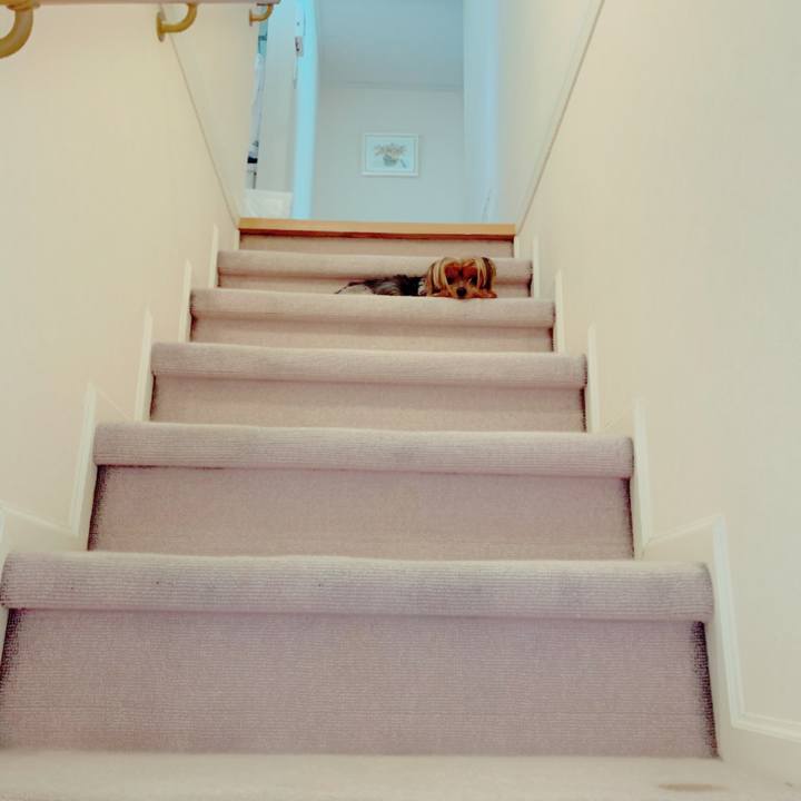 F6e0b606 f7a5 4830 9318 0cd736b97487 1578700435245