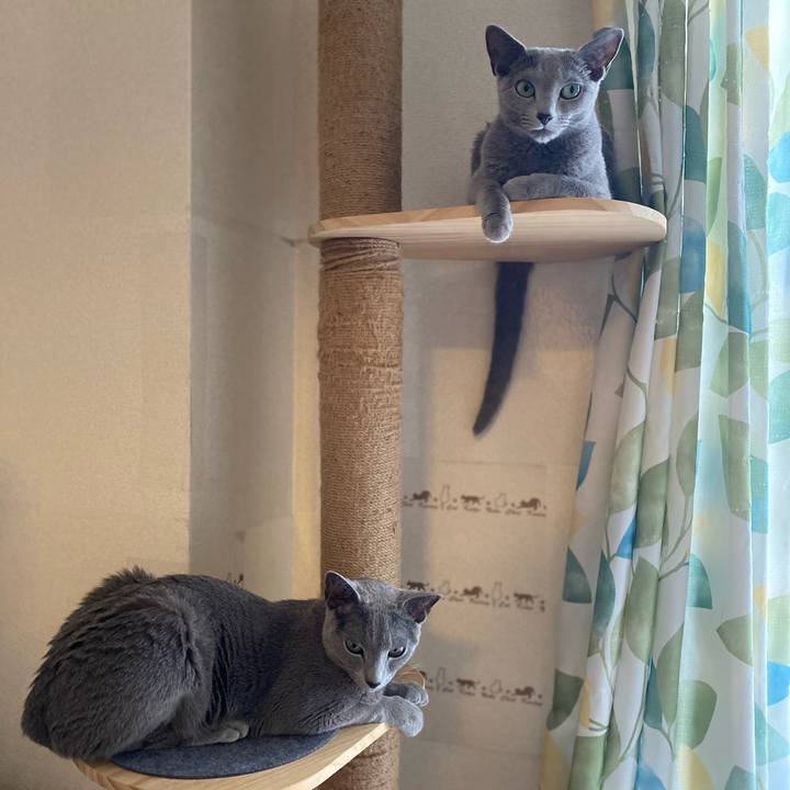 F6e0bd88 b362 4cfe 88df d39973be42e2 1690671032289