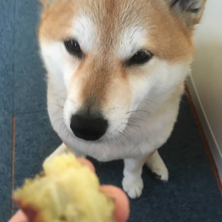 F6e0c74d f7ce 423b 841c 2482ce61549c 1576457843525