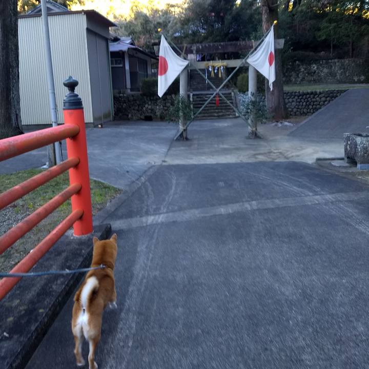 F6e0ce57 f3ec 410e 9b81 af9b15308735 1546306720254