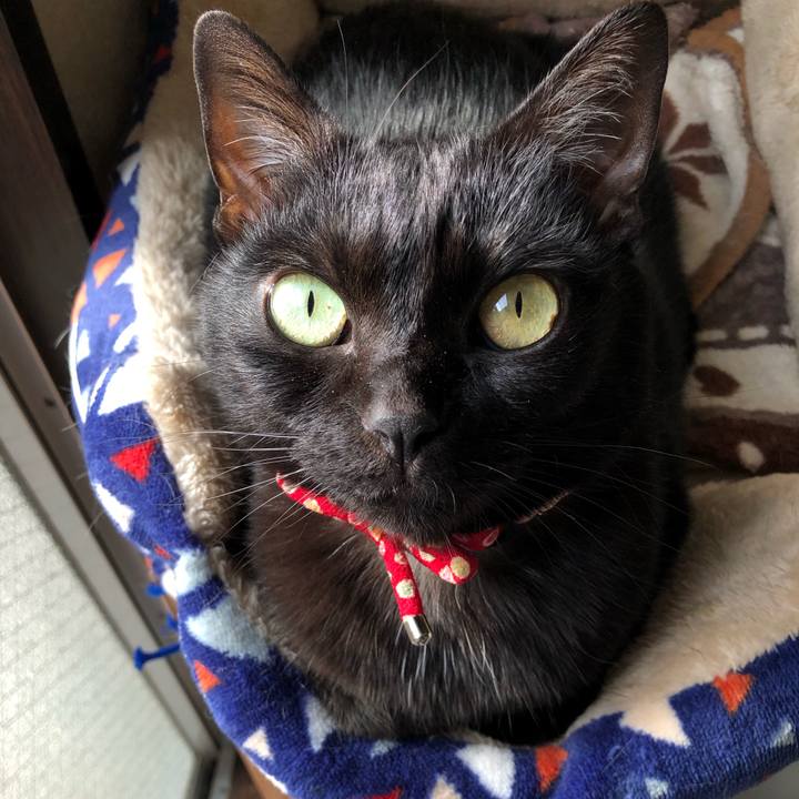 F6e0dfd3 fa59 4601 8f49 5b4278faa783 1618698738440